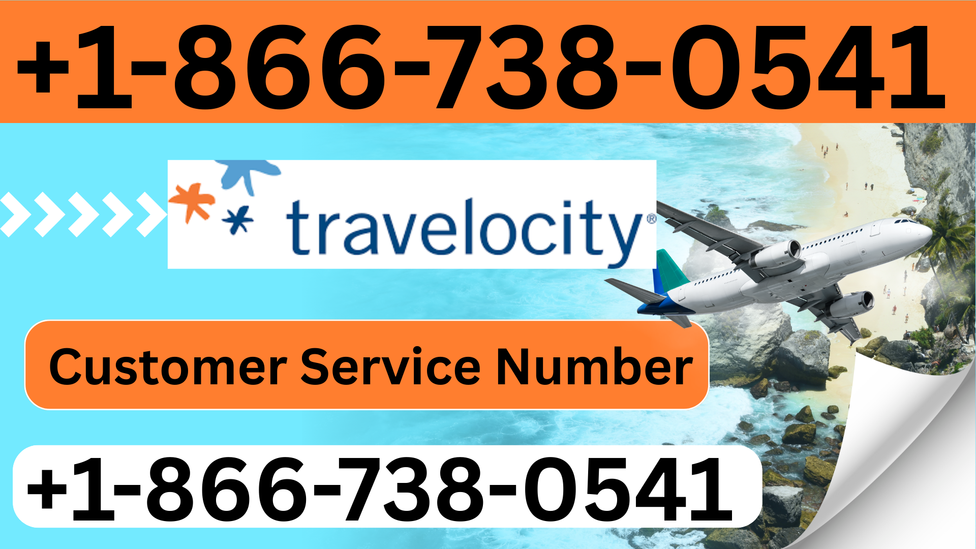 United Airlines Missed Flight Policy Explained Step by Step — Virginia Zoo